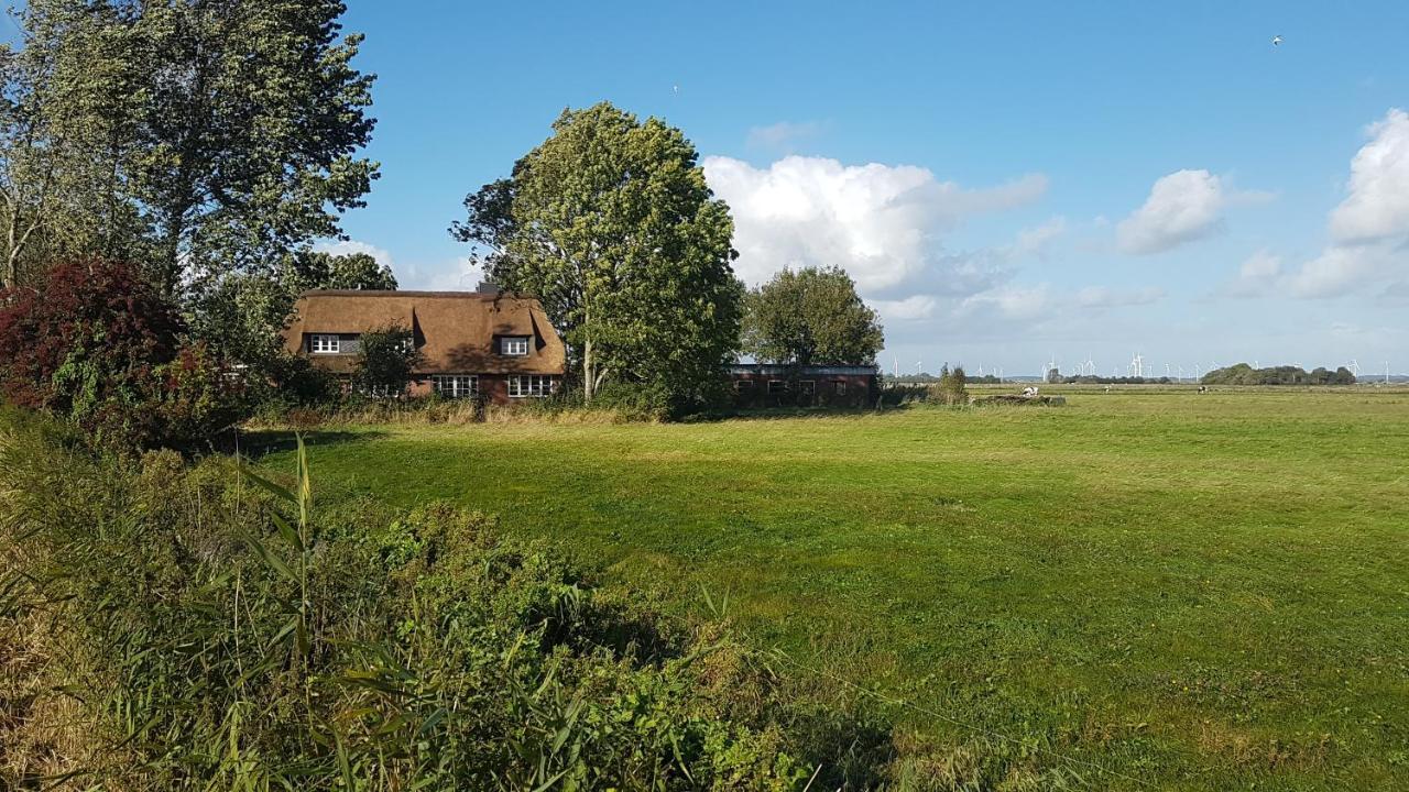 Ferienwohnung Marschkieker - Kleiner Deichhof Hattstedtermarsch Exterior photo